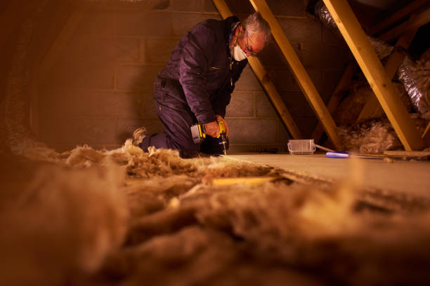Best Attic Insulation Near Me  in Summerset, SD